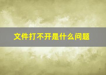 文件打不开是什么问题