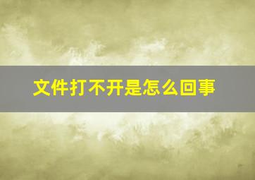 文件打不开是怎么回事