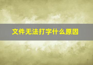 文件无法打字什么原因