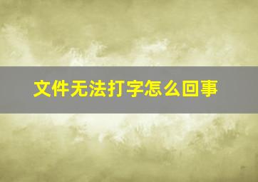 文件无法打字怎么回事