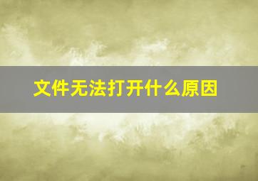 文件无法打开什么原因