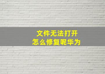 文件无法打开怎么修复呢华为