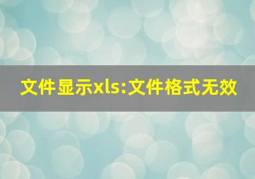 文件显示xls:文件格式无效