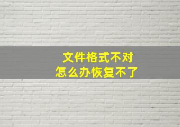 文件格式不对怎么办恢复不了