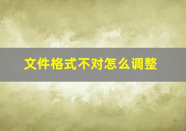 文件格式不对怎么调整