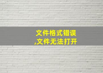 文件格式错误,文件无法打开