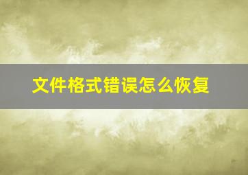 文件格式错误怎么恢复