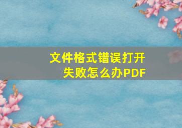 文件格式错误打开失败怎么办PDF