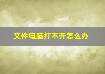 文件电脑打不开怎么办