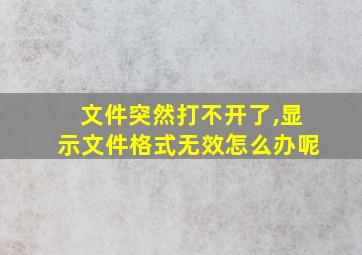 文件突然打不开了,显示文件格式无效怎么办呢