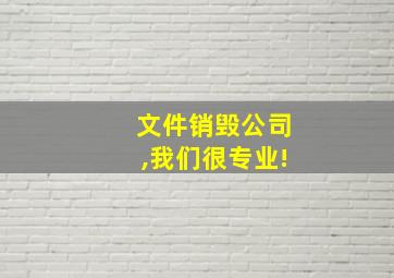 文件销毁公司,我们很专业!