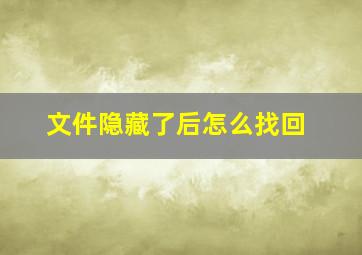 文件隐藏了后怎么找回