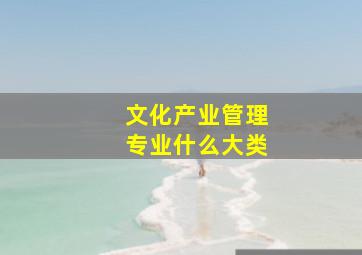 文化产业管理专业什么大类