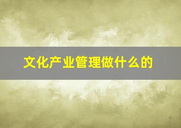 文化产业管理做什么的