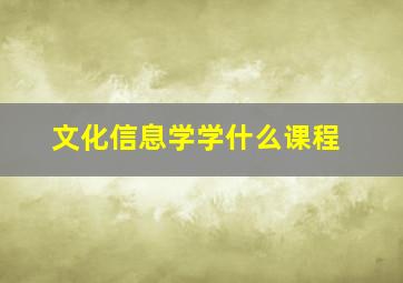 文化信息学学什么课程