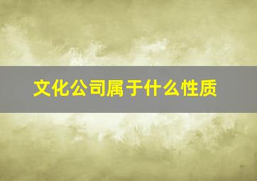 文化公司属于什么性质