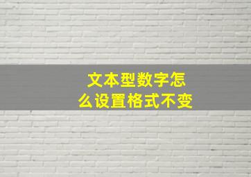 文本型数字怎么设置格式不变