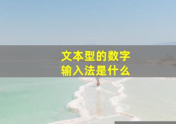 文本型的数字输入法是什么