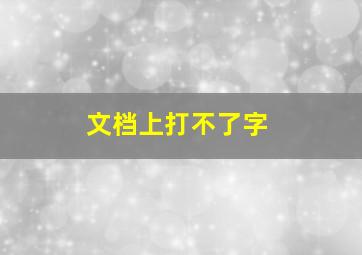 文档上打不了字