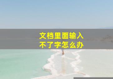 文档里面输入不了字怎么办