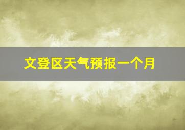 文登区天气预报一个月