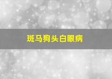 斑马狗头白眼病