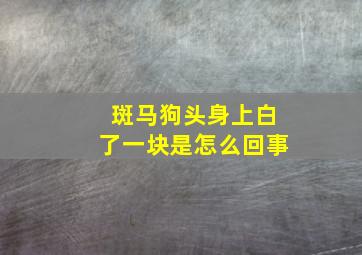 斑马狗头身上白了一块是怎么回事