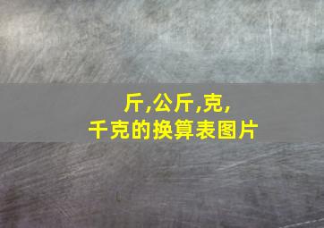 斤,公斤,克,千克的换算表图片