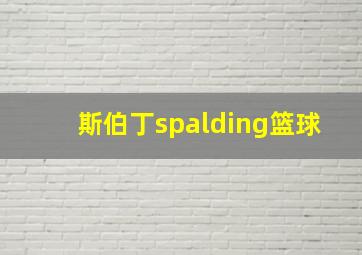 斯伯丁spalding篮球