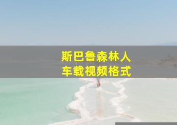 斯巴鲁森林人车载视频格式