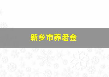 新乡市养老金