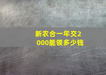 新农合一年交2000能领多少钱