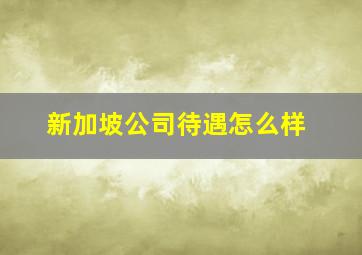 新加坡公司待遇怎么样