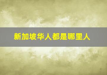 新加坡华人都是哪里人