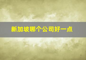 新加坡哪个公司好一点