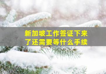 新加坡工作签证下来了还需要等什么手续