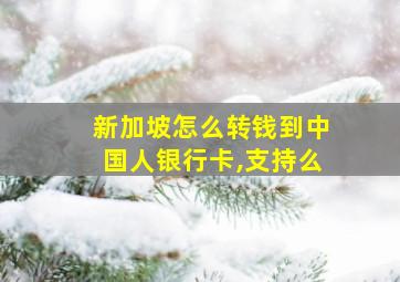 新加坡怎么转钱到中国人银行卡,支持么