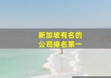 新加坡有名的公司排名第一