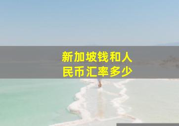 新加坡钱和人民币汇率多少