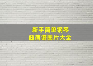 新手简单钢琴曲简谱图片大全