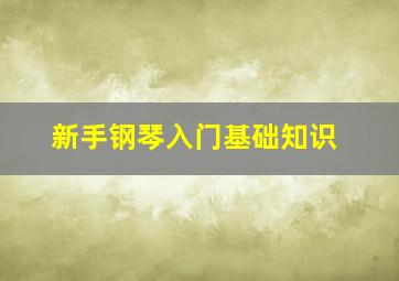 新手钢琴入门基础知识