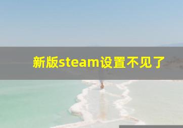 新版steam设置不见了