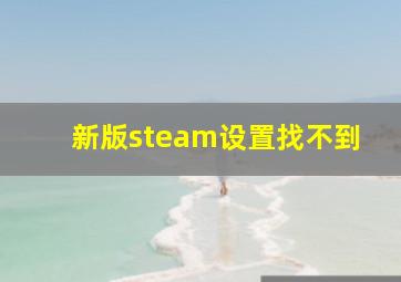 新版steam设置找不到