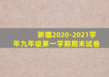 新疆2020-2021学年九年级第一学期期末试卷