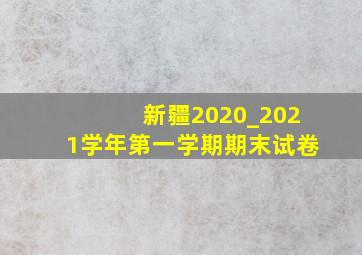 新疆2020_2021学年第一学期期末试卷