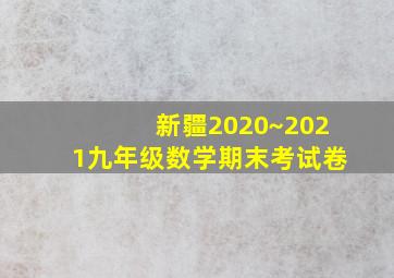 新疆2020~2021九年级数学期末考试卷