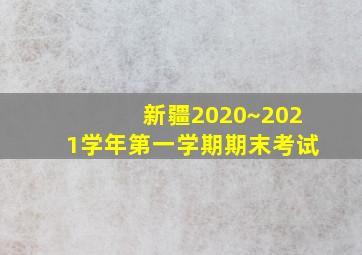 新疆2020~2021学年第一学期期末考试