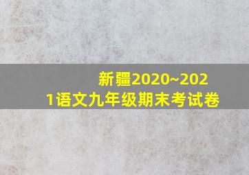 新疆2020~2021语文九年级期末考试卷