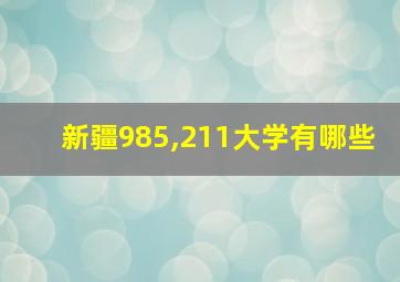 新疆985,211大学有哪些