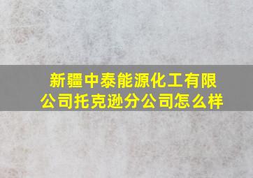 新疆中泰能源化工有限公司托克逊分公司怎么样